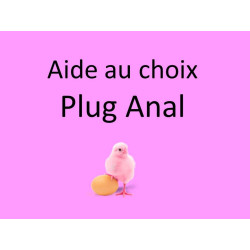 Aide au choix Plug Anal