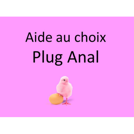 Aide au choix Plug Anal