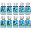 Poppers ice pure mint 24ml