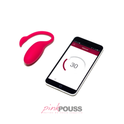 Oeuf Vibrant Télécommandé Flamingo - Silicone | PinkPouss.com