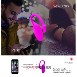 Oeuf Vibrant Télécommandé Flamingo - Silicone | PinkPouss.com